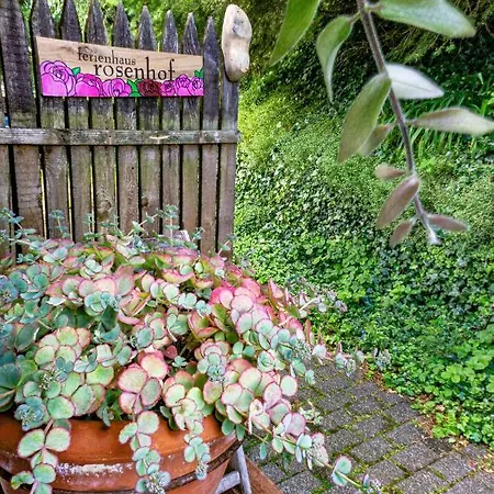 Rosenhof Vulkaneifel Holiday home