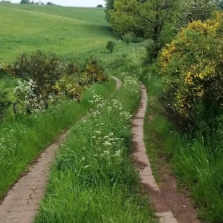 Rosenhof Vulkaneifel *