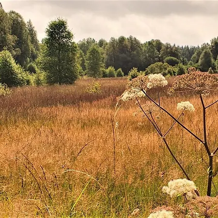 Rosenhof Vulkaneifel *