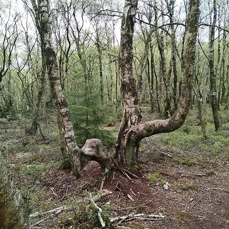 Rosenhof Vulkaneifel 別荘