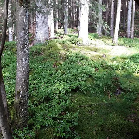 Rosenhof Vulkaneifel 別荘 Ormont