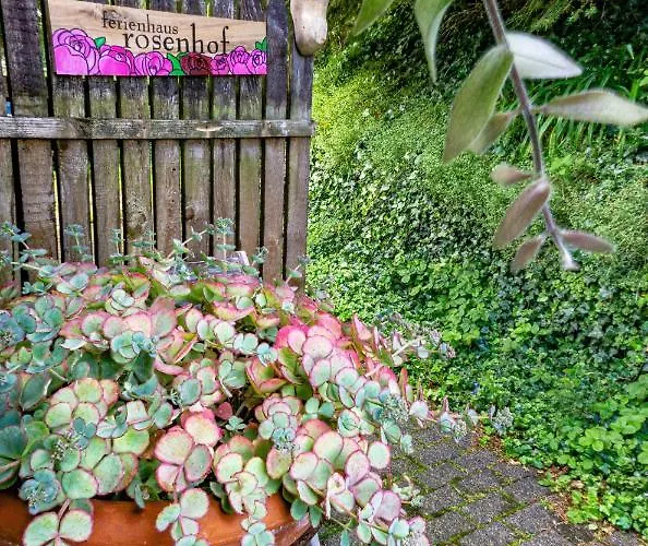 Rosenhof Vulkaneifel Casa de Férias