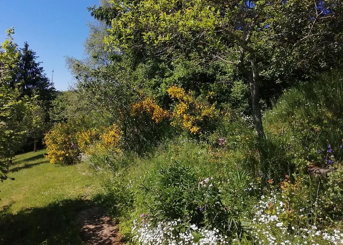 Rosenhof Vulkaneifel בית נופש