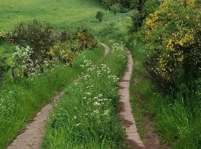 Rosenhof Vulkaneifel *
