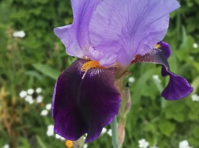 בית נופש Rosenhof Vulkaneifel Ormont