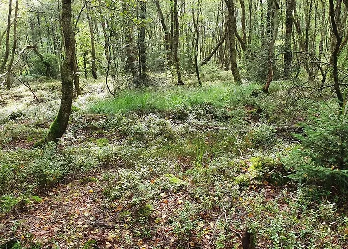 Rosenhof Vulkaneifel בית נופש Ormont