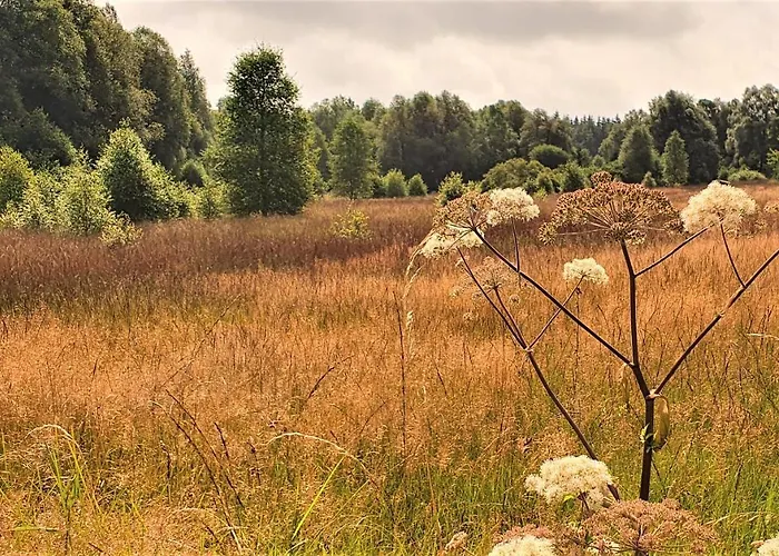 Rosenhof Vulkaneifel *