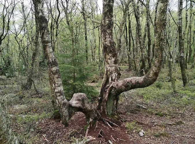 Rosenhof Vulkaneifel בית נופש