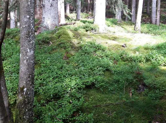 Rosenhof Vulkaneifel בית נופש Ormont